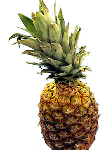Pineapple-sensei