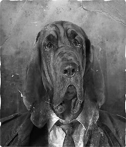 Lucius Willford Bloodboyle