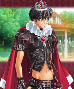 The Prince of Red Heart