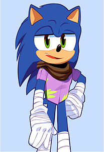 Sonic T. Hedgehog