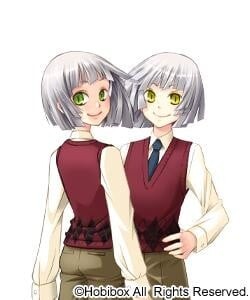 Minmi Zamites Acaharte