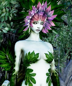 Dryad