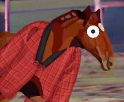 Horse in a coat