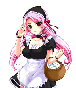 Mysterious Maid