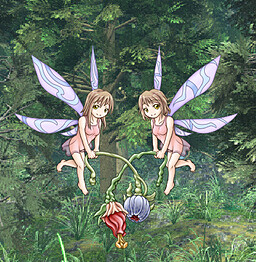 Twin Fairies