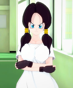 Videl