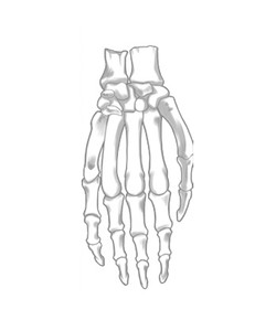 Bony Hand