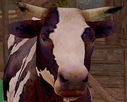 cutie, the cow!