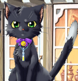 Sakemasu Sucrère the 15th