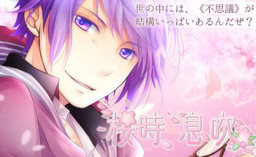 사쿠라기, 이부키.