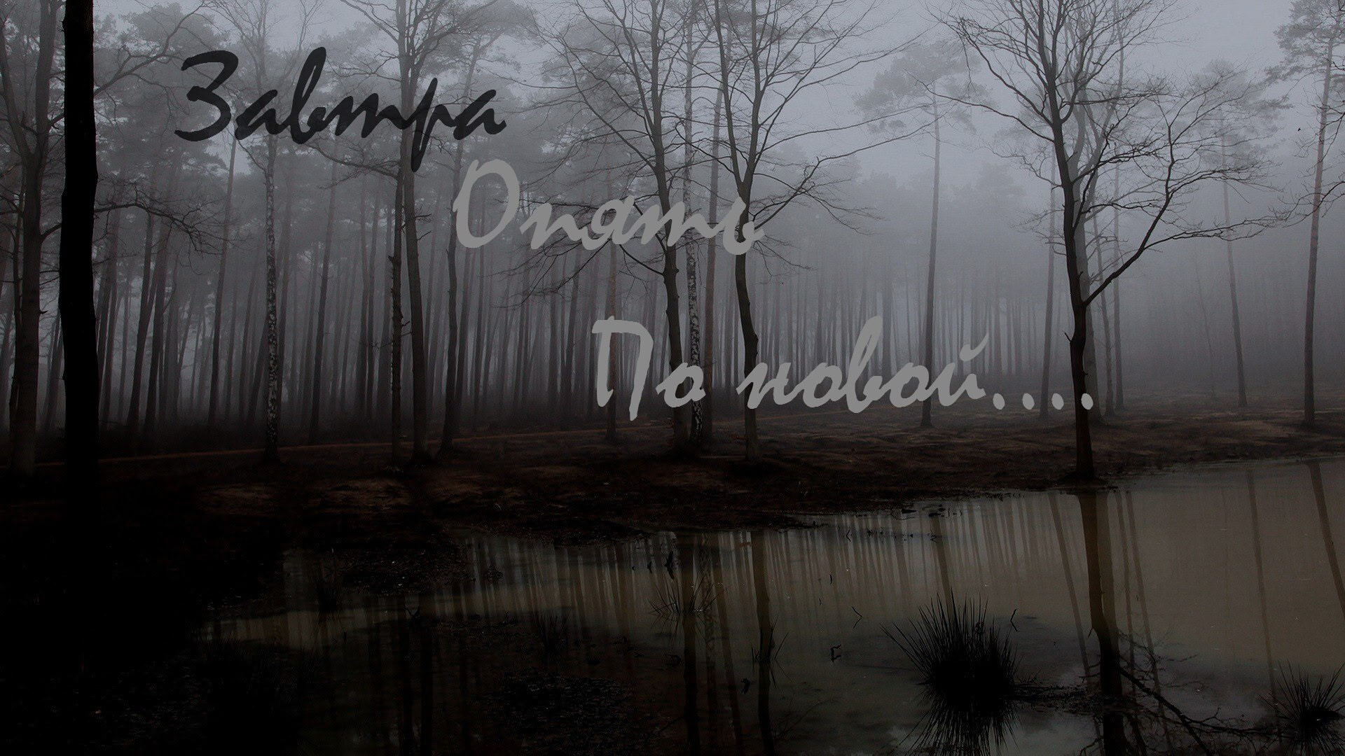 Завтра опять по новой....