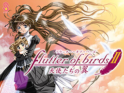flutter of birds II 천사들의 날개