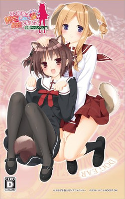 이 부실은 귀가하지 않는 부가 점거했습니다. 포터블 학원 도그 이어 편