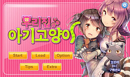 우리집 아기고양이