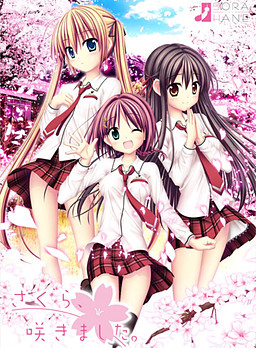 사쿠라, 피었습니다.