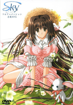 Sky～스카이～