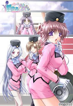 흔들리는 버스 가이드～오빠이가 잇빠이～