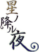 별이 내리는 밤