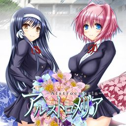 알스트로메리아