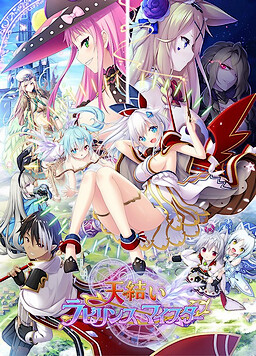 아마유이 라비린스 마이스터