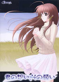 너의 마음, 그 소원