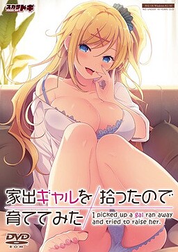 가출 갸루를 주웠으니 길러보기로 했다