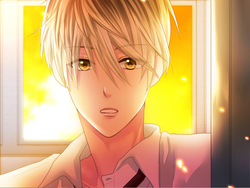 並木くんと愛のはなし。