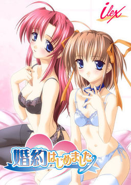 약혼 시작했습니다