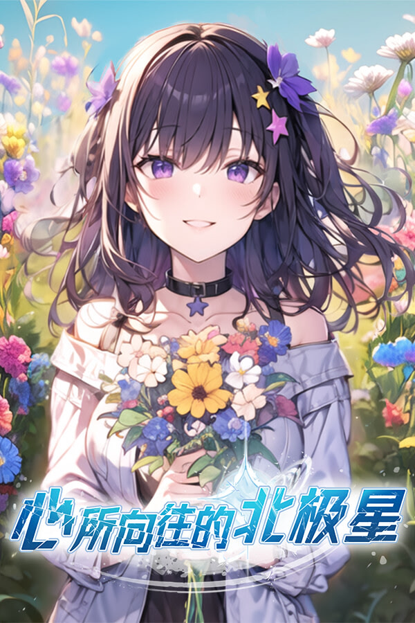 心所向往的北极星