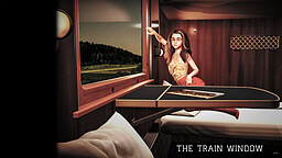 The Train Window