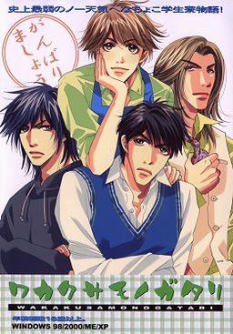 와카쿠사 모노가타리