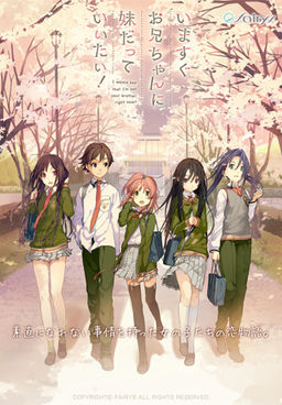 지금 당장 오빠에게 여동생이라고 말하고 싶어!