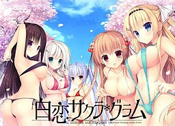 하쿠렌 사쿠라＊그램