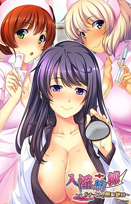 뉴인병동 ～도S 너스로 무한절정～