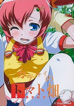 카테사이의 토마토 밭 -정액재배-