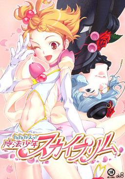 싸워라! 마법소년 스카이프림