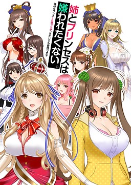 누나와 프린세스는 미움받고 싶지 않아. －나의 러브코미디 18금 플래그, 또다시 관리 불가－