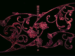 누리바 소라의 코토리