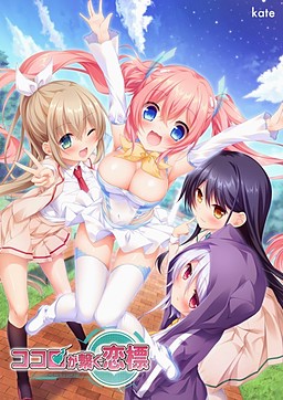 코코로가 잇는 사랑의 지표