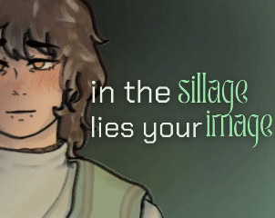 in the sillage lies your image
