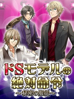 도S 모델의 절대명령～비밀의 복종～
