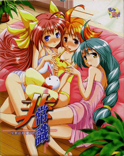 비상식 ～쾌락은 그곳에 있다～