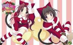 타마타마 크리스마스 BOX