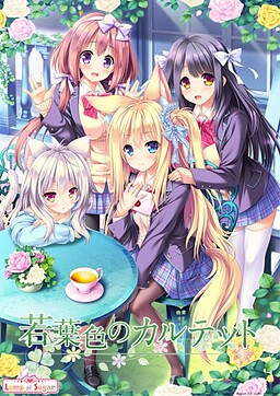 와카바색의 콰르텟