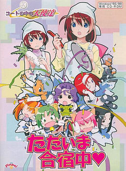 코트 안의 천사들 지금 합숙 중