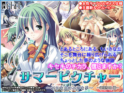 서머 픽처～작은 언덕의 작은 꿈～