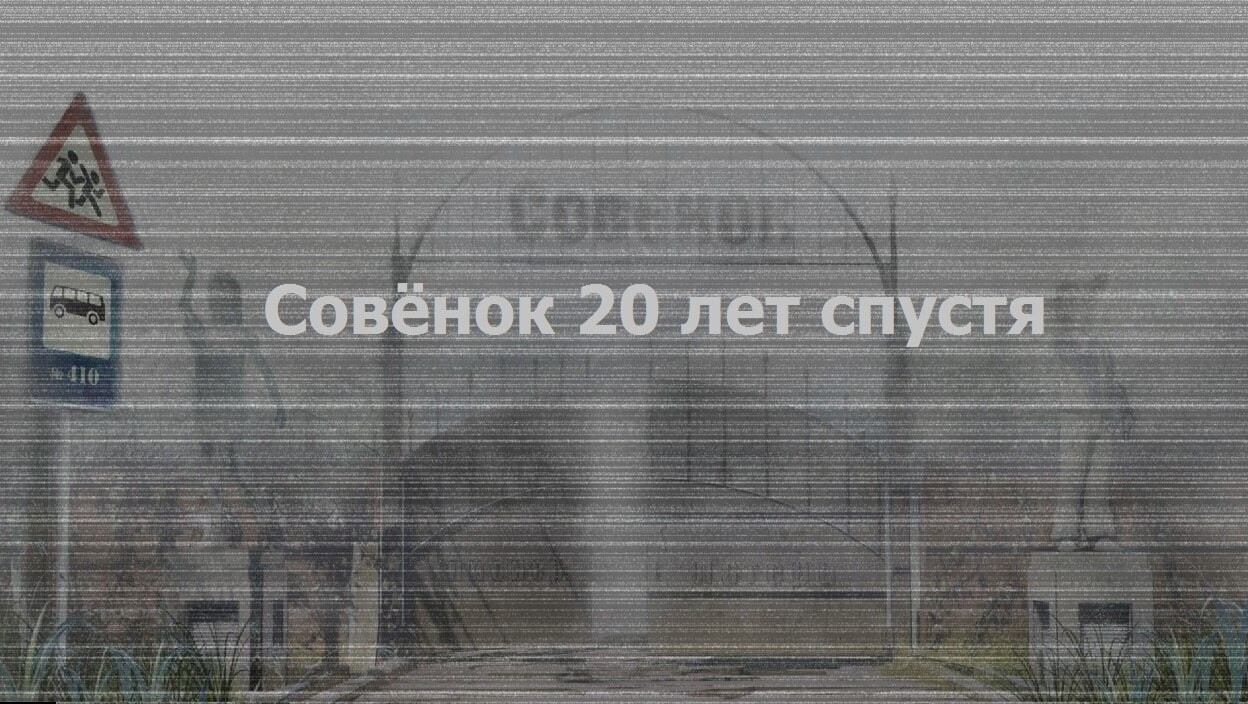Совёнок 20 лет спустя