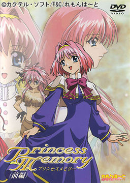 프린세스 메모리