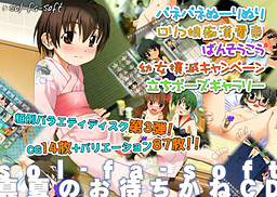 sol-fa-soft 한여름의 기다림 CD