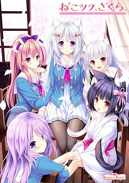 네코츠쿠, 사쿠라.